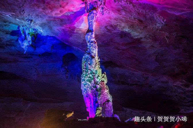 简单有用的大岩桐花一年开几次花问答网站