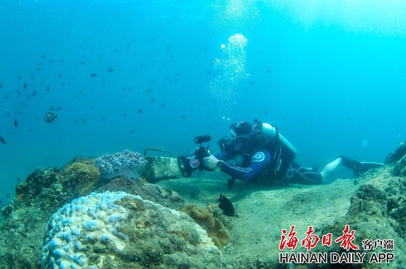 解答问题,共创美好——过年的对联?吉鹿力问答社区